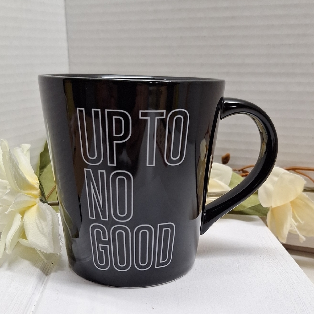 🛍2/$15🛍 #ABD Indigo "Up To No Good" Mug